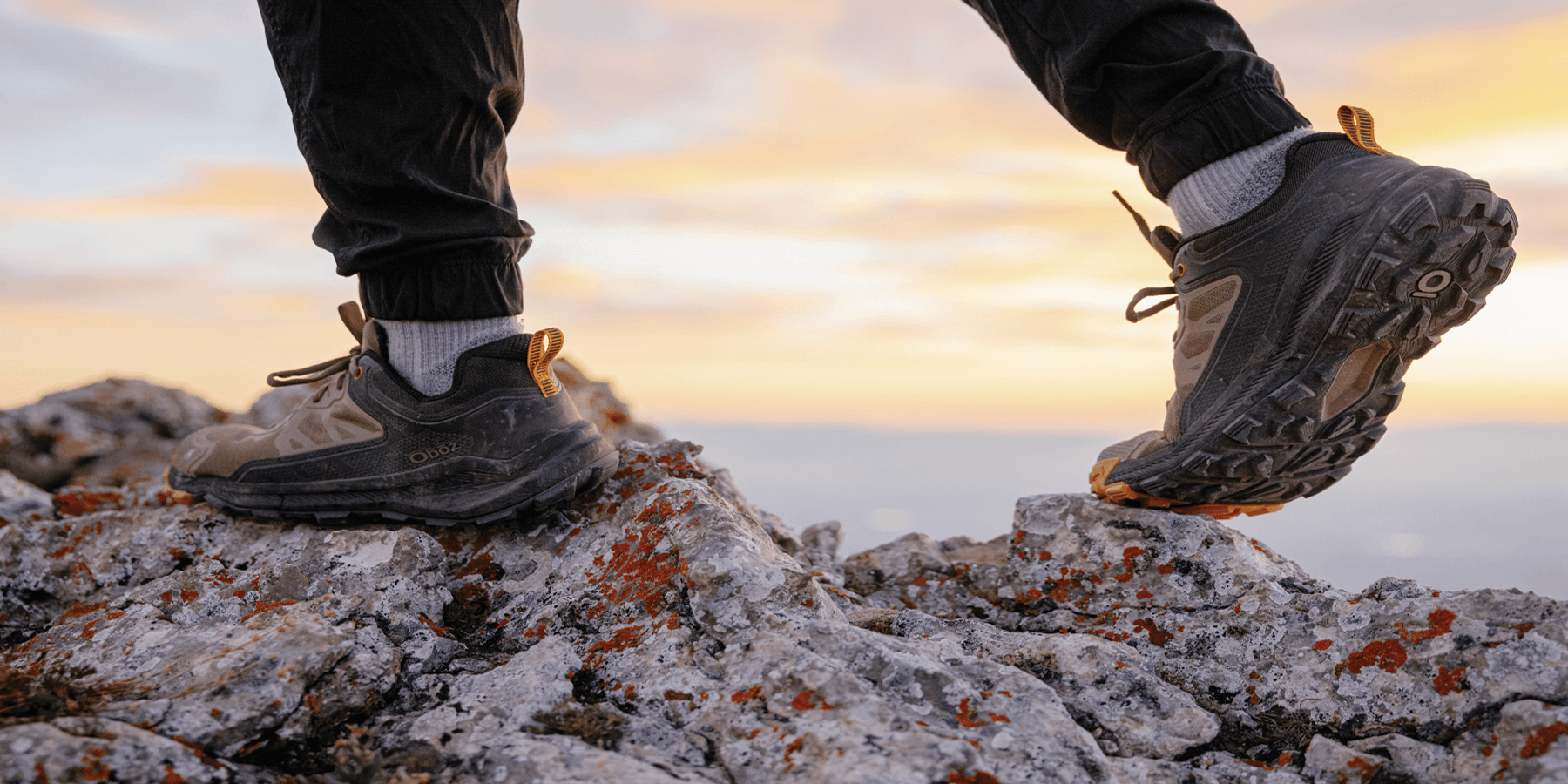 Ecco sales collin port